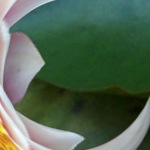 coreimage-layers57