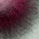 growing_things