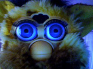 isight1