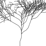 lsystem-predefined5